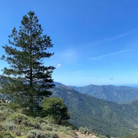 Apartamento Rez-de-jardin 3 - Acces Direct A La Calvi (Corsica)