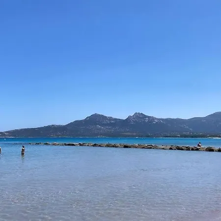 Rez-de-jardin 3 - Acces Direct A La *