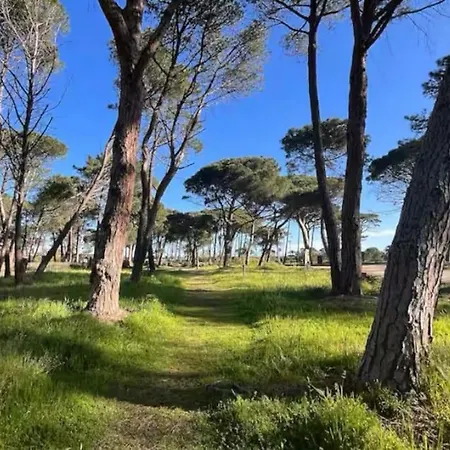 Rez-de-jardin 3 - Acces Direct A La Lägenhet