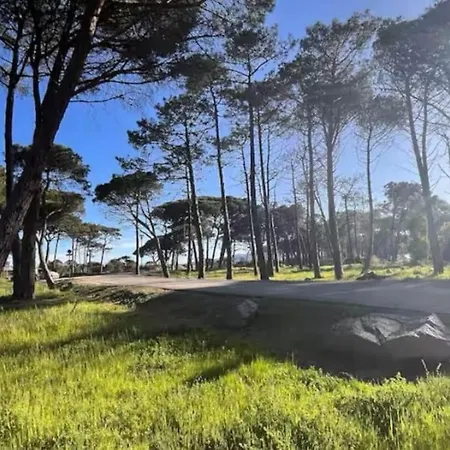 Lägenhet Rez-de-jardin 3 - Acces Direct A La Calvi (Corsica)